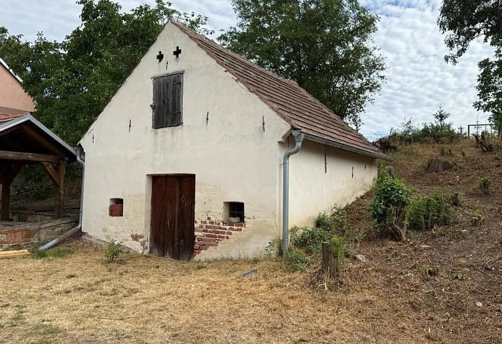 Prodej ostatní - Novosedly, Břeclav, 136 m² - 5