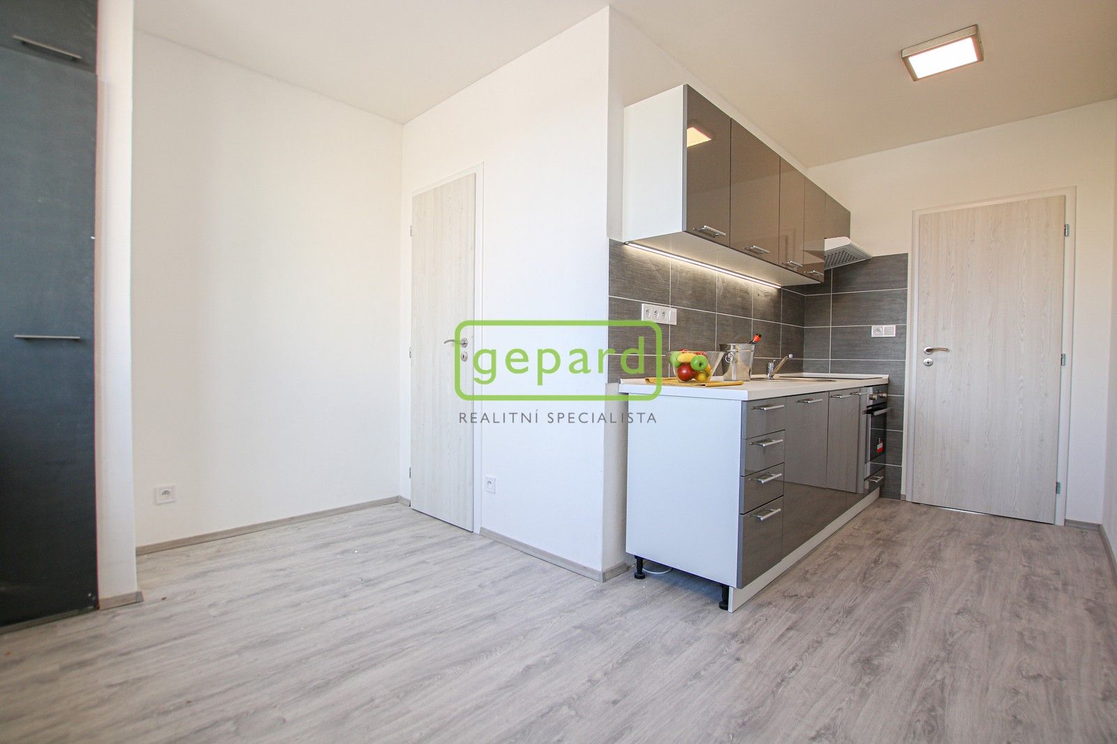 Pronájem byt 1+1 - Palackého třída, Brno, 39 m²