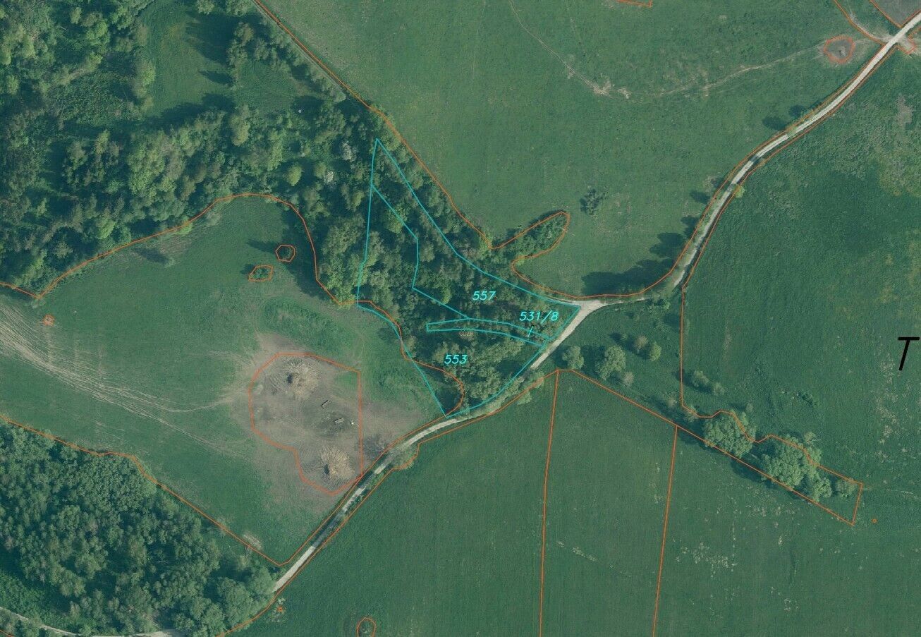 Pozemek · 10 042 m² · Horní Dvořiště - 4