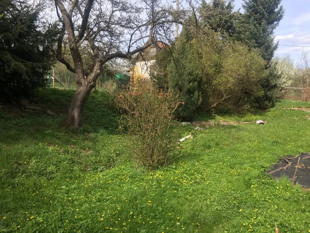 Ostatní