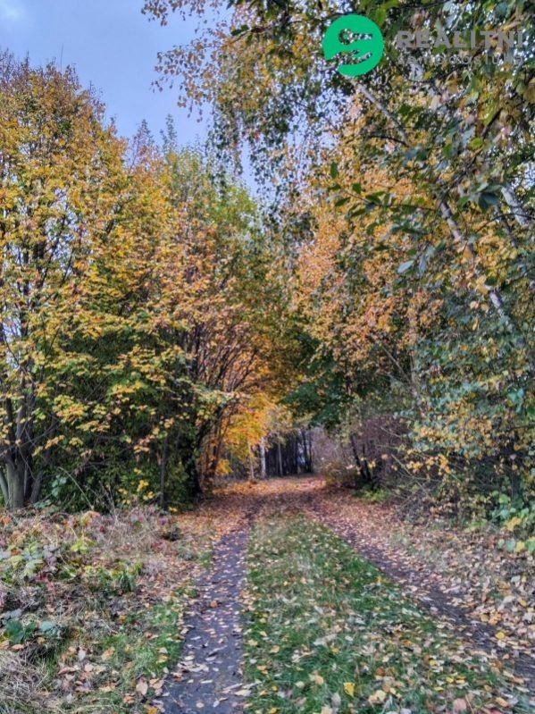 Prodej zahrada - Vrchovská, Čáslav, 270 m²