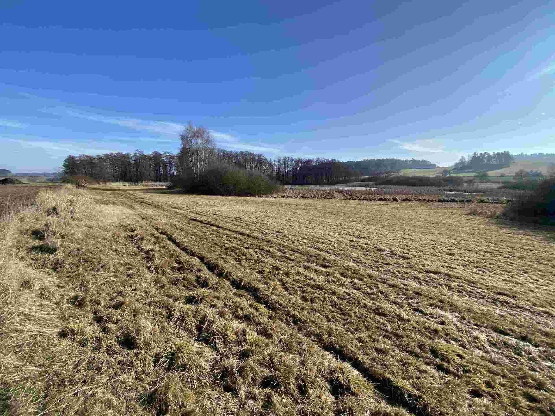 Zemědělské pozemky, Kváskovice, 10 470 m² - 1