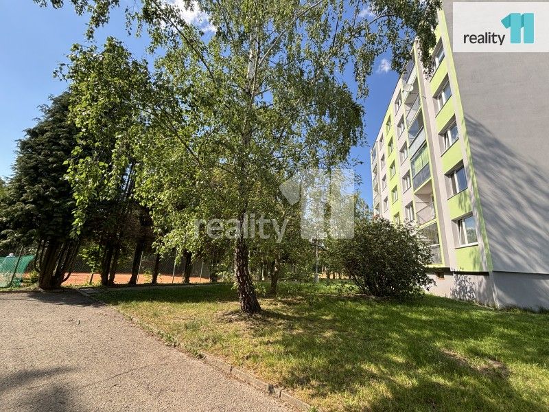 2+1, Sluneční, Nový Bor, 48 m²