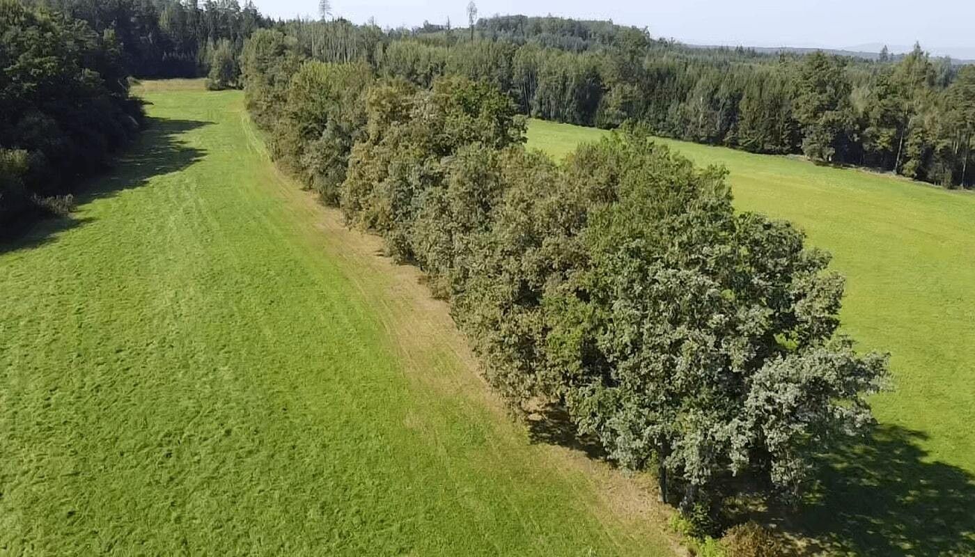 Prodej louka - Nedabyle, 4 m²