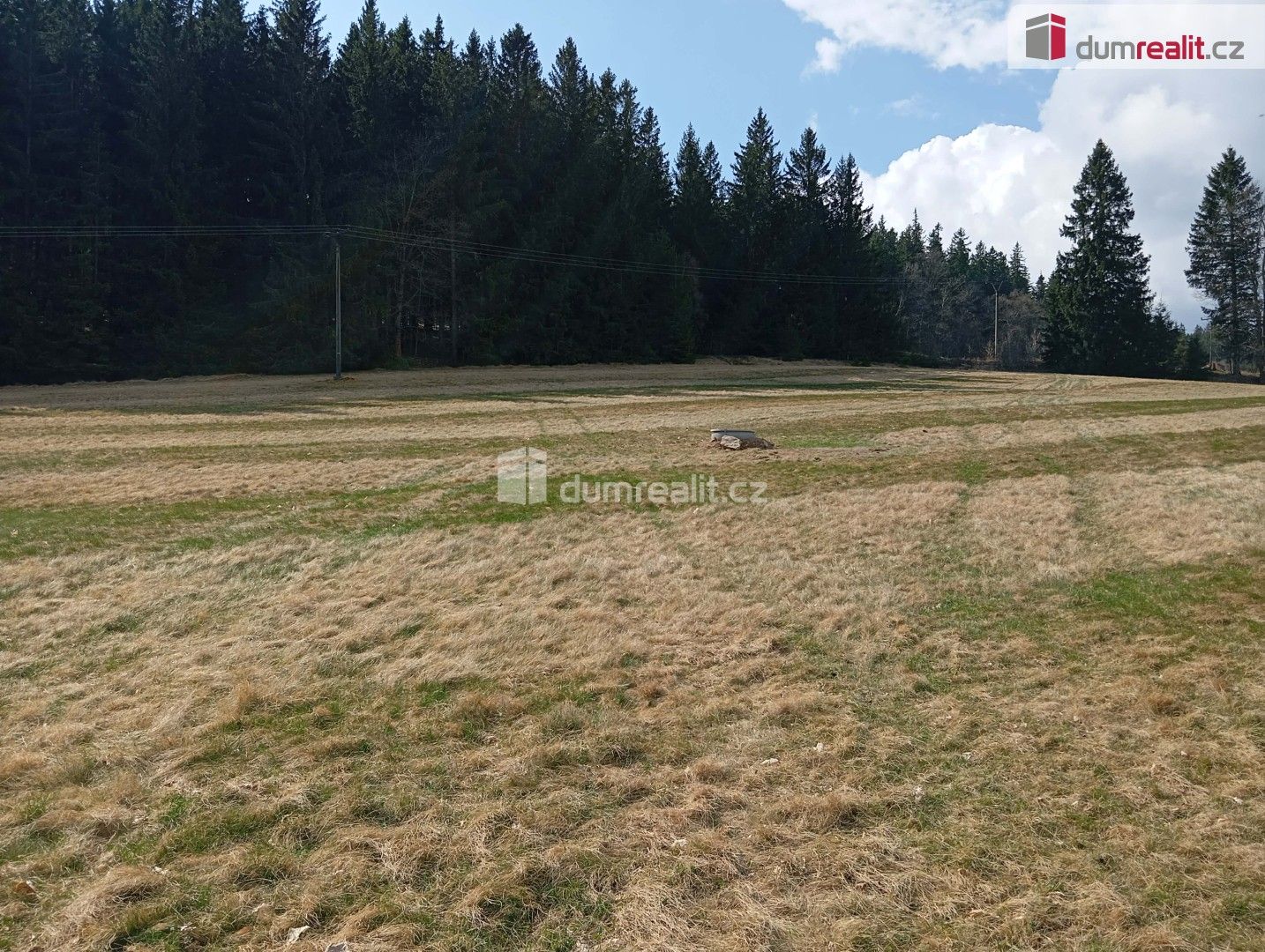 Pozemek pro bydlení · 6 036 m² · Zdíkov Masákova Lhota - 3
