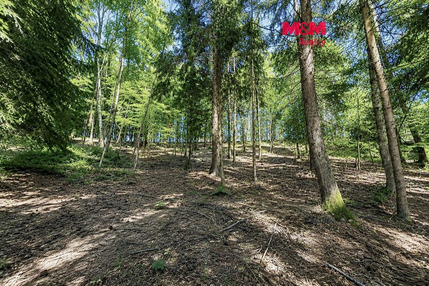 Les, 6 855 m²