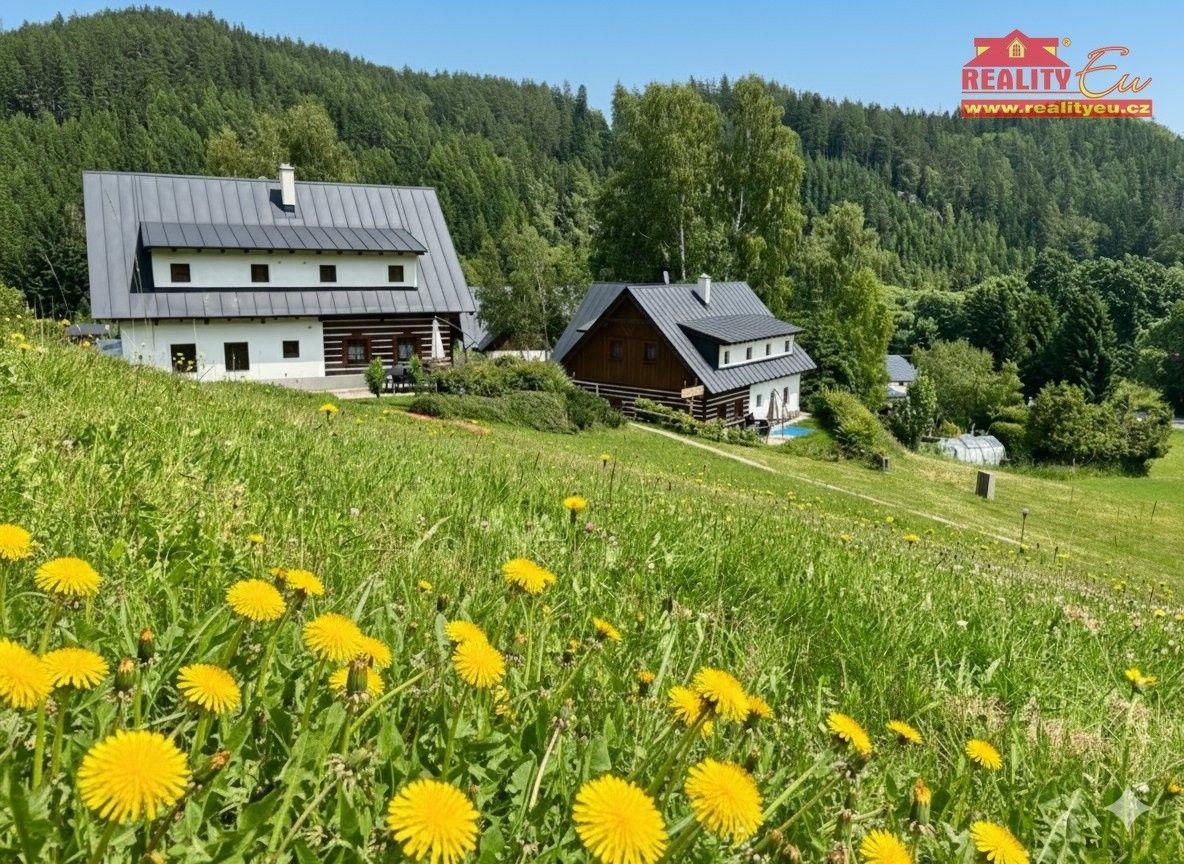 Chalupy, Prkenný Důl, Žacléř, 160 m²