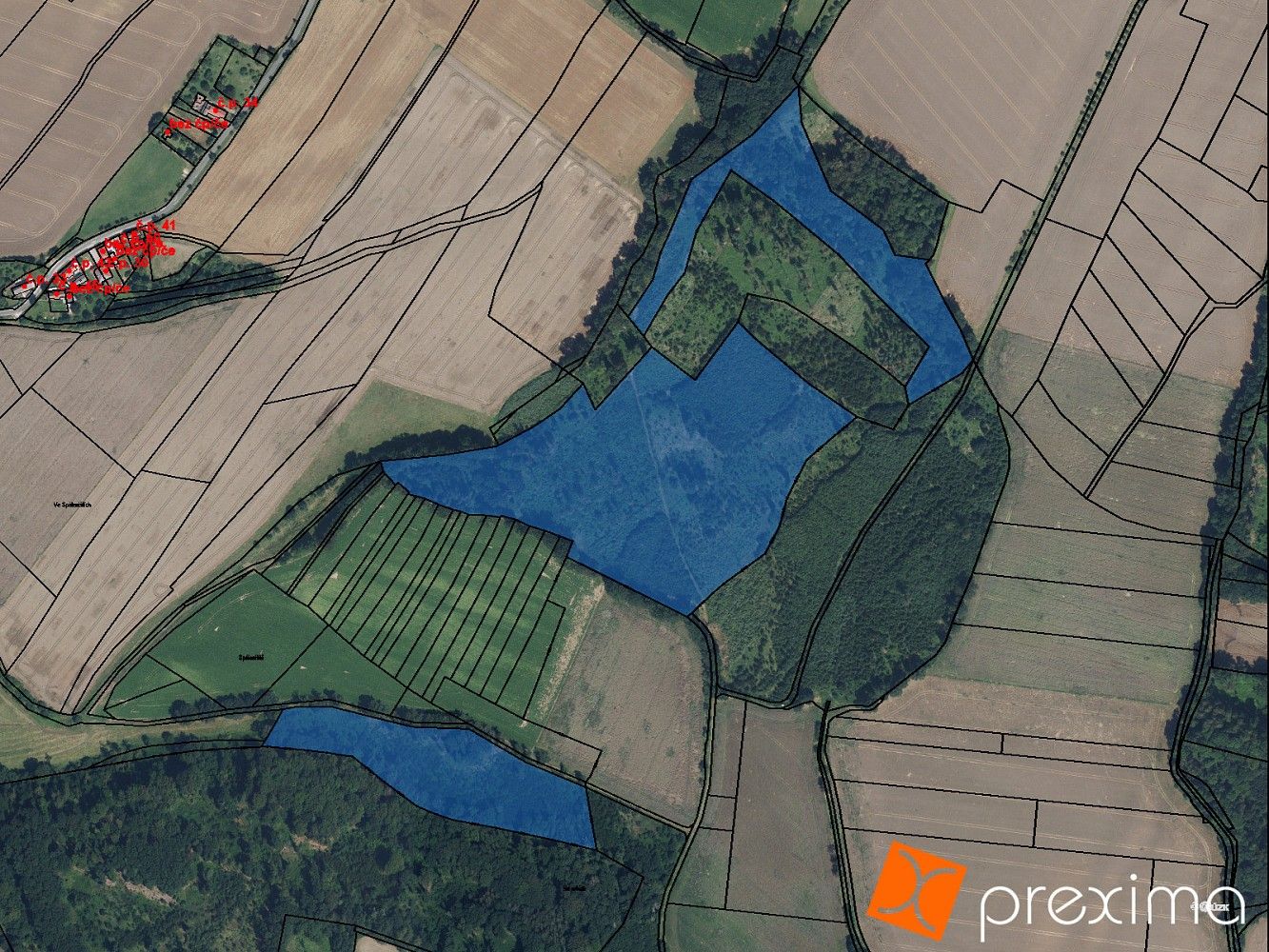Prodej les - Hořice, okres Jičín, Královéhradecký kraj - 1