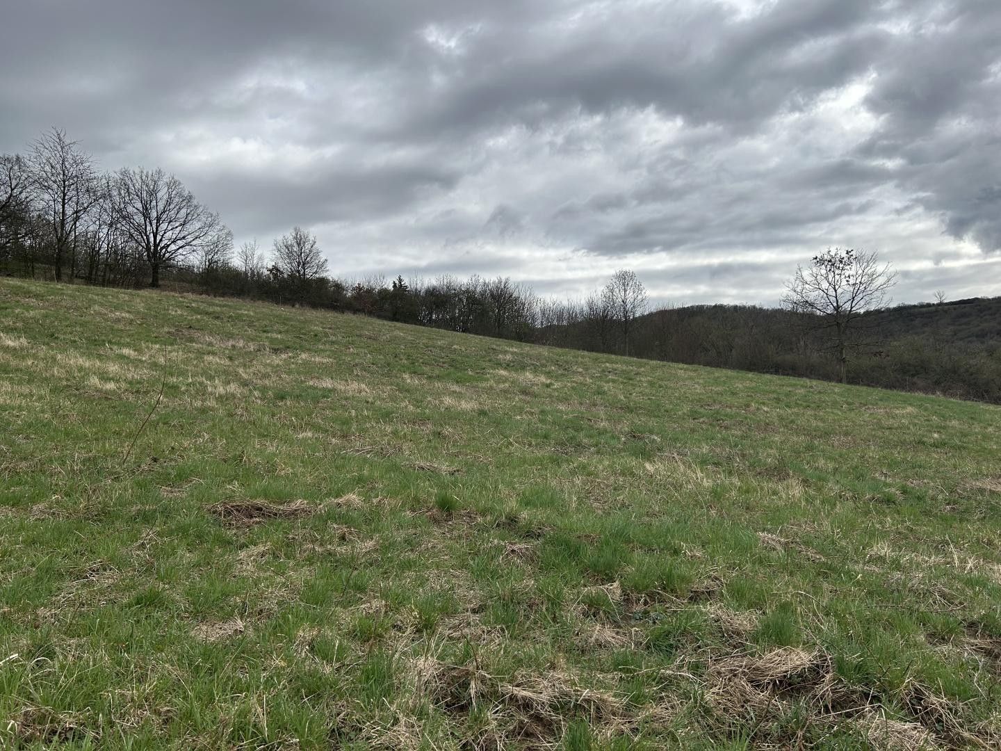 Prodej pozemek pro bydlení - Bukovice, Bžany