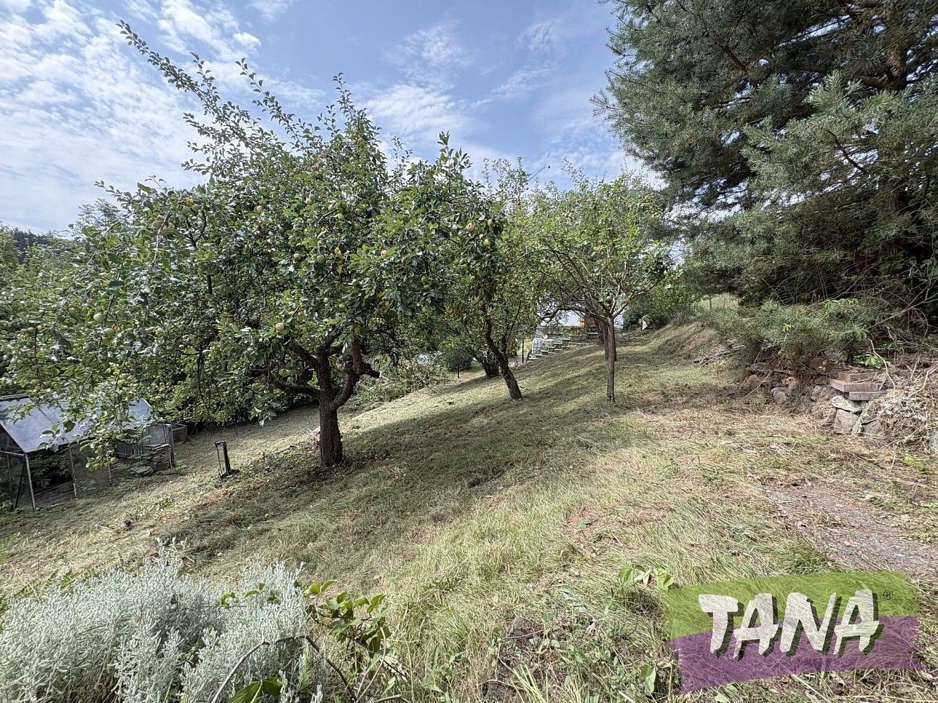 Prodej zahrada - Úpice, okres Trutnov - 5