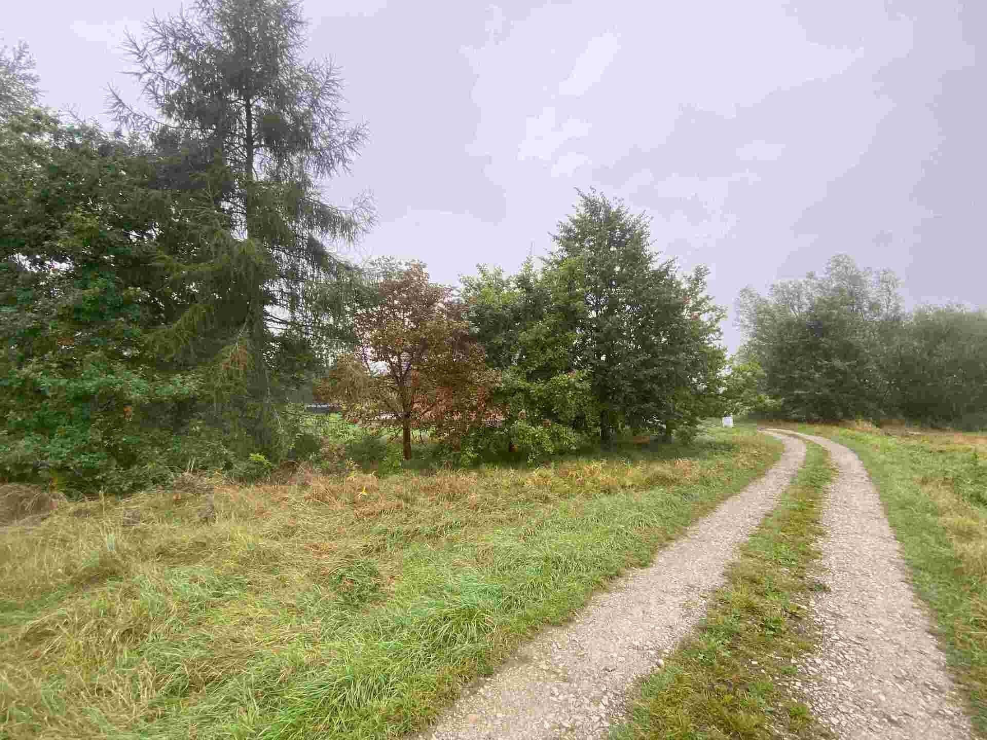 Prodej pozemek pro bydlení - Bzí, Dolní Bukovsko, 588 m²