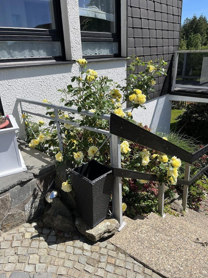 Rodinný dům · 230 m² · Am Eichenkamp 32, , Severní Porýní-Vestfálsko - 3