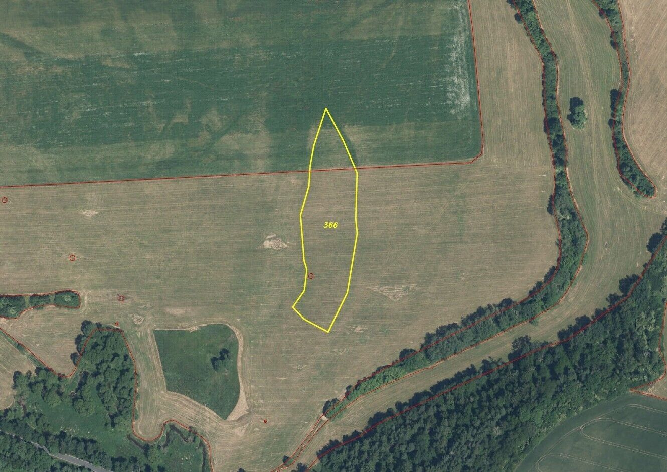 Prodej zemědělský pozemek - Bělá nad Radbuzou Čečín, 9 226 m² - 1