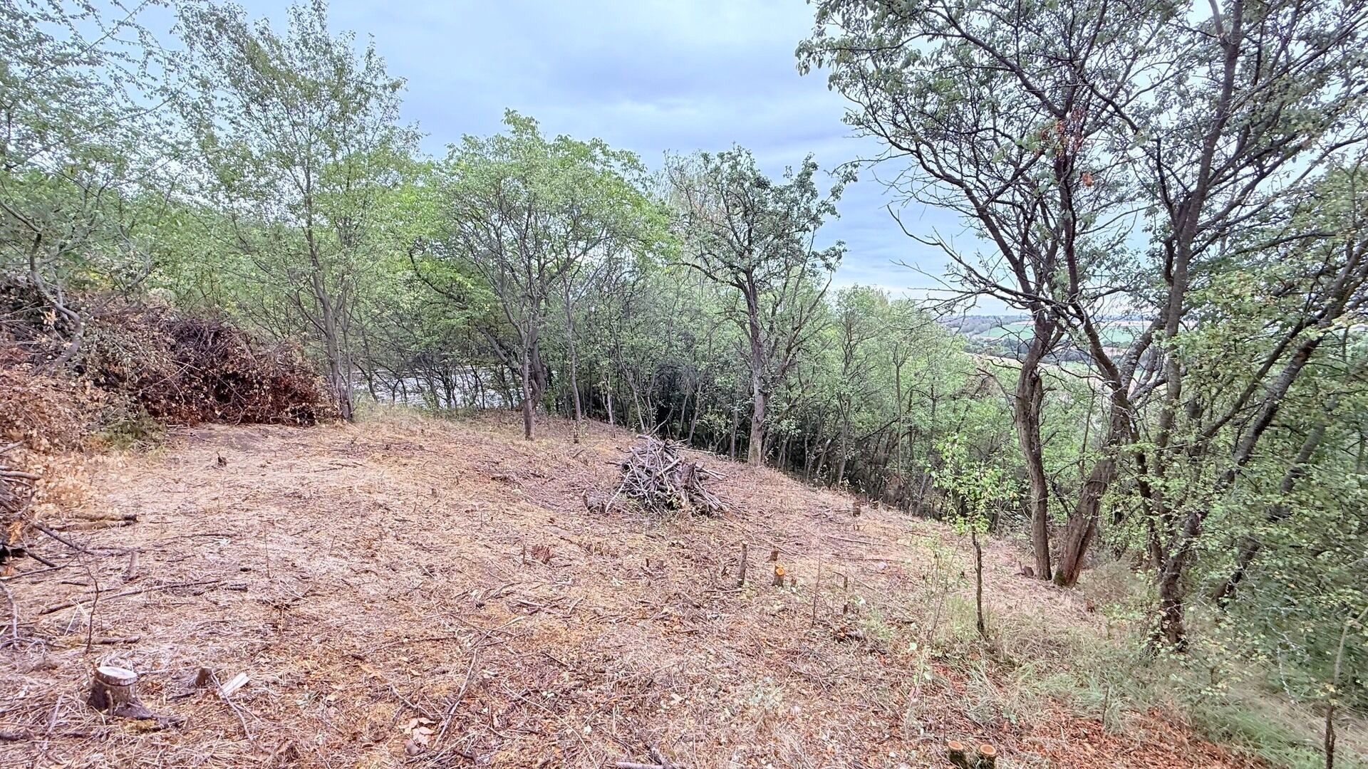Prodej zahrada - Brandýsek, 464 m² - 5