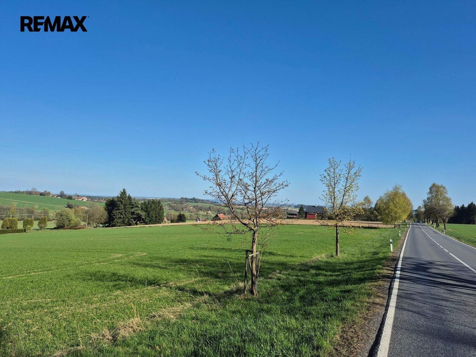Pozemek pro bydlení · 7 429 m² · Borová - 4