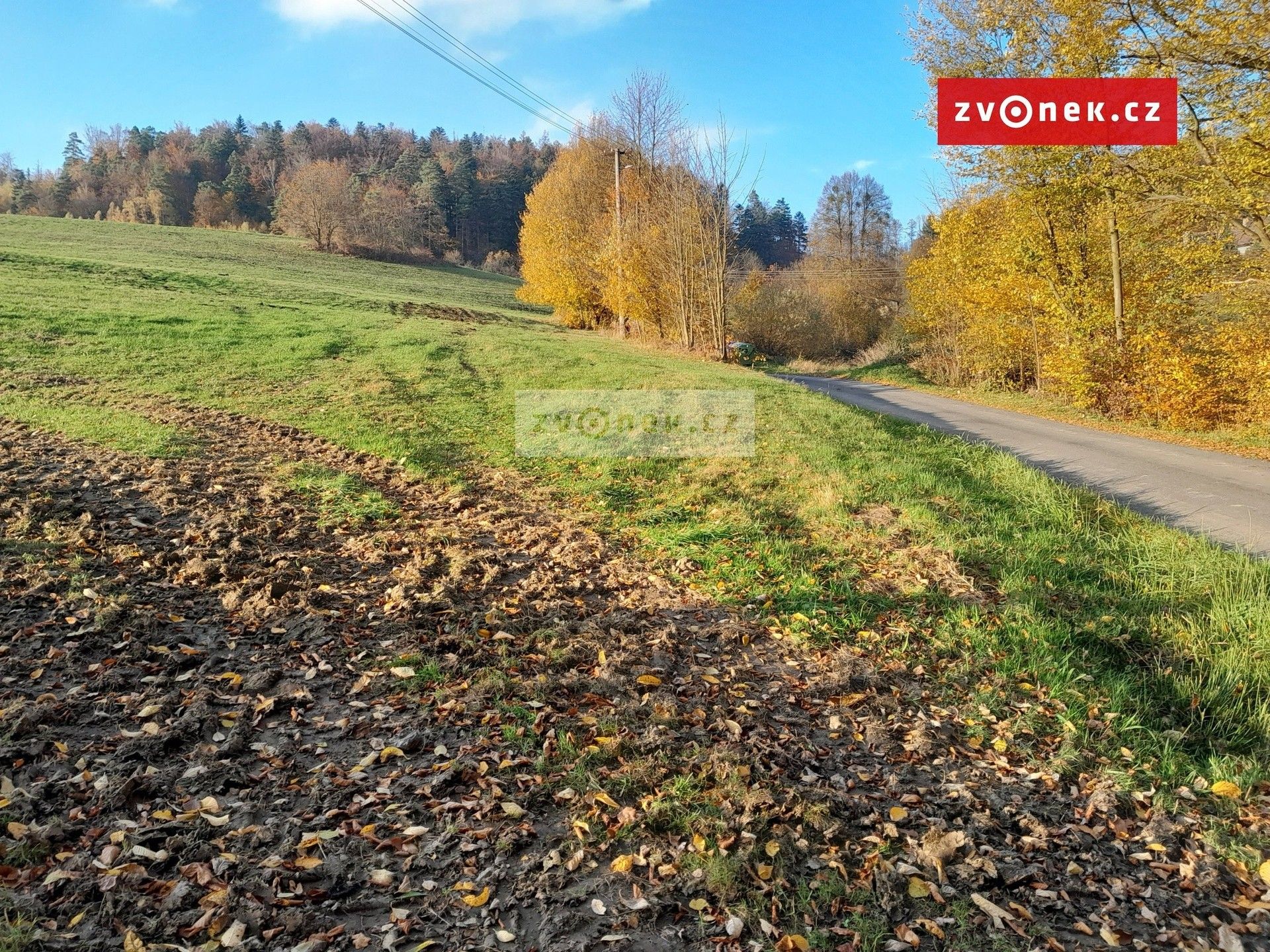 Prodej louka - Oznice - 5