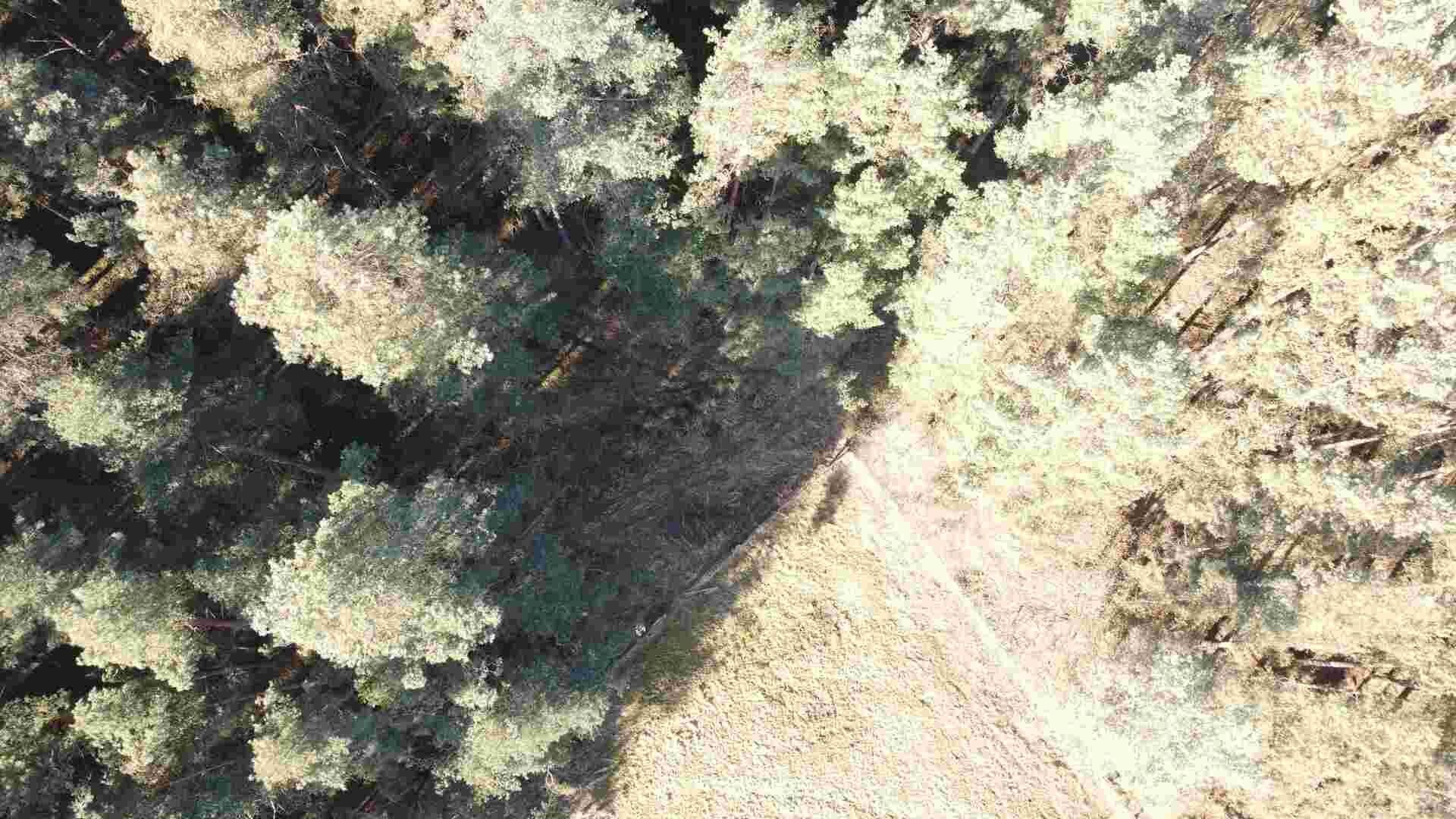 Pozemek · 4 563 m² · Tisová Kumpolec - 4