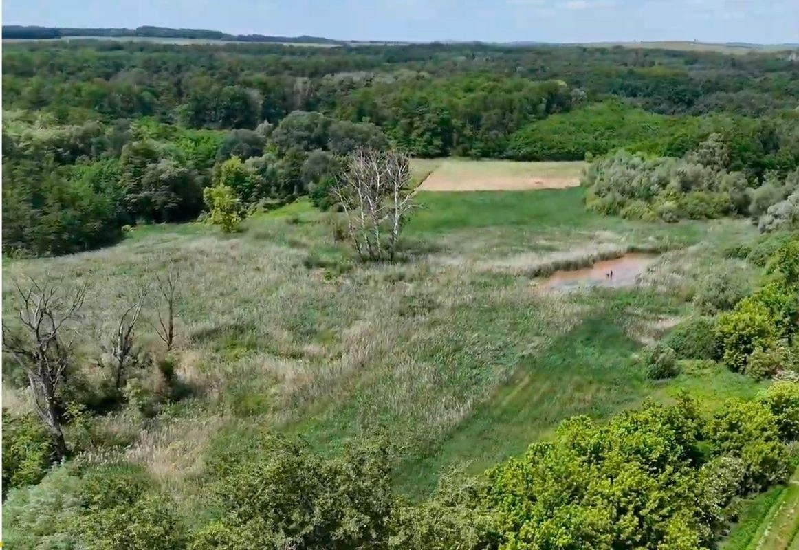 Prodej louka - Hovorany, 21 655 m²