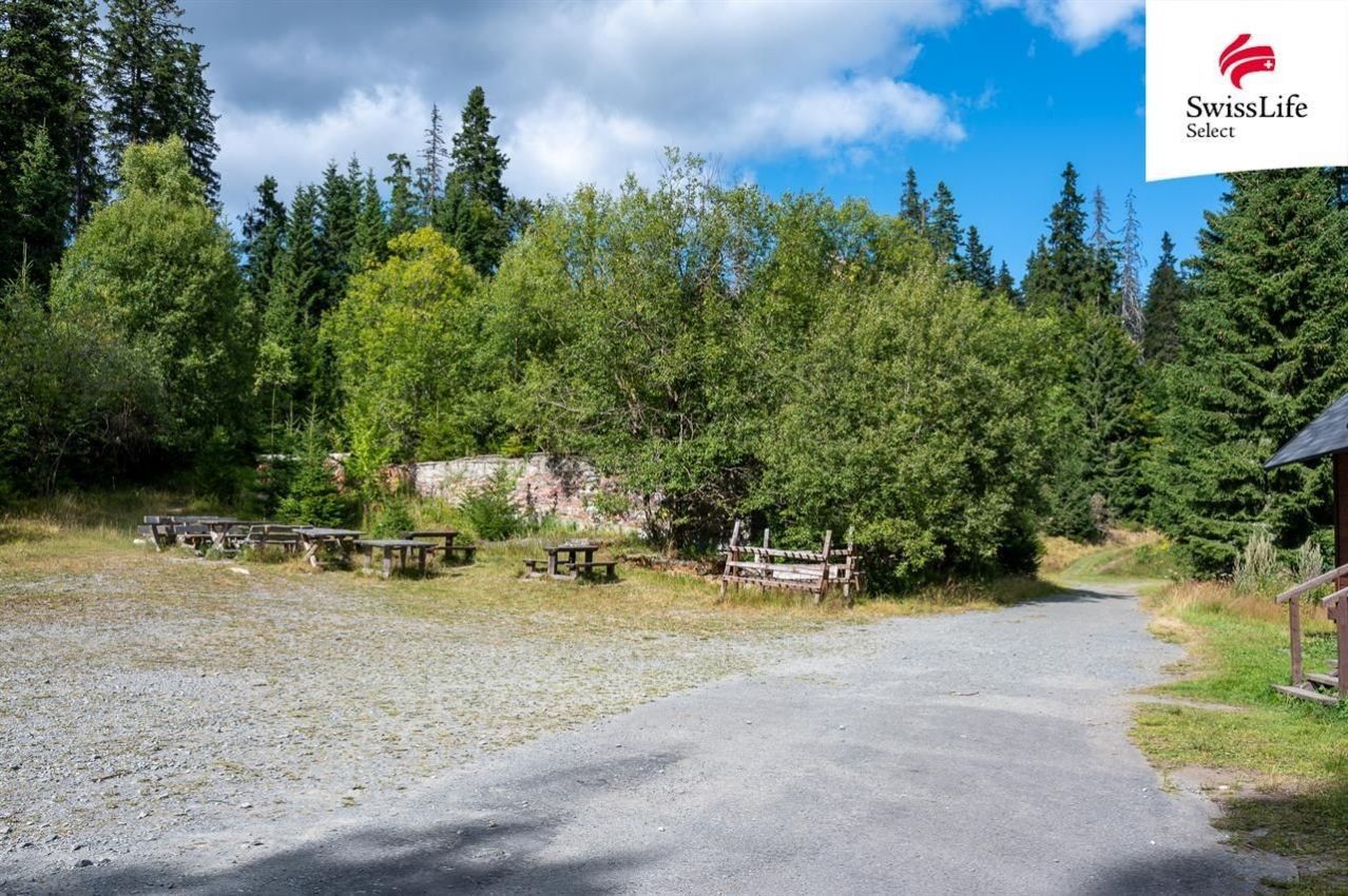 Prodej komerční pozemek - Žďárský Potok, Stará Ves