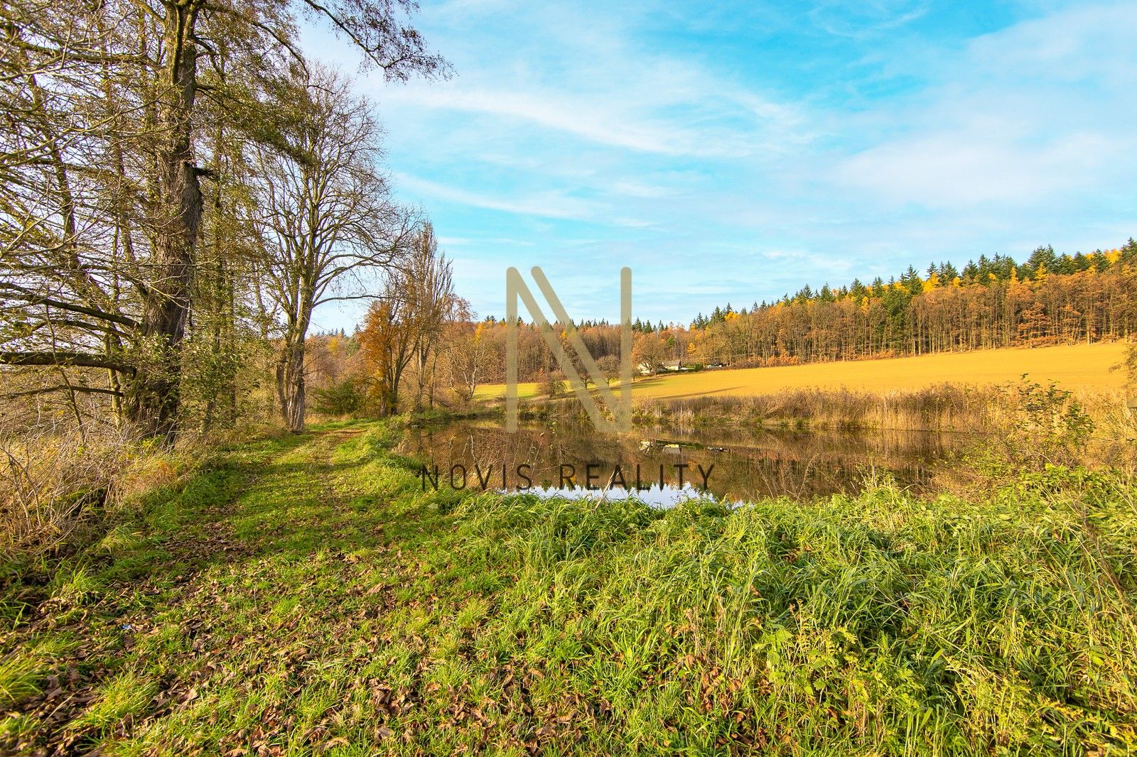 Prodej rybník - Týnec, 2 713 m² - 5