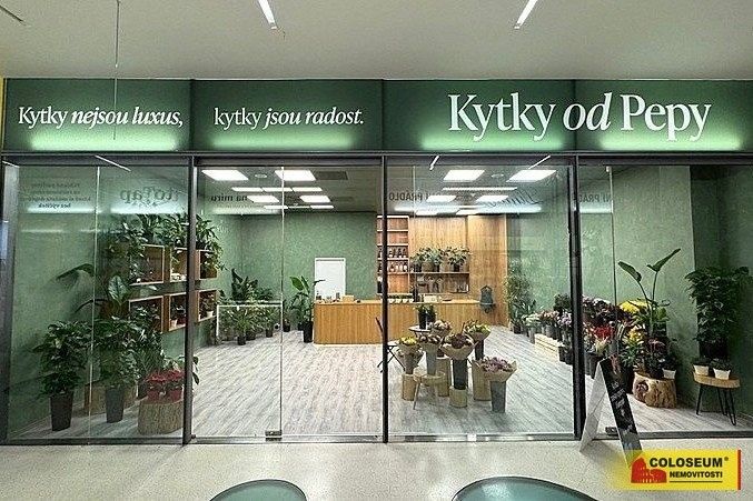 Pronájem obchodní prostory - Brno-město, Brno, 64 m²