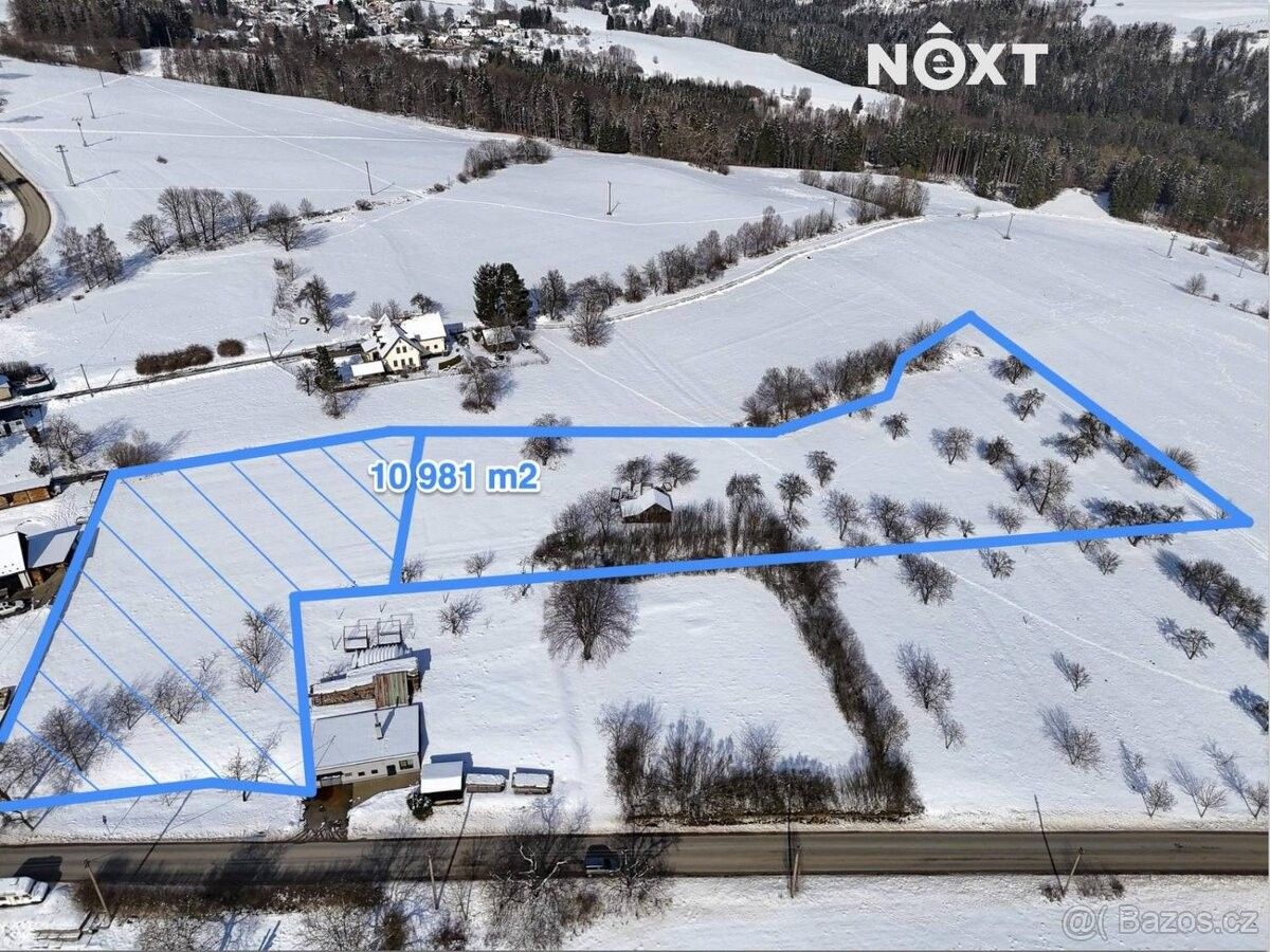 Pozemky pro bydlení, Železný Brod, 468 22