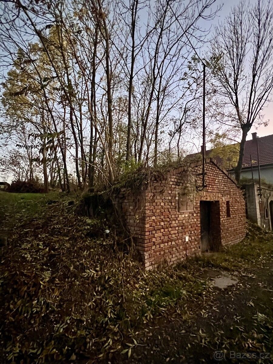 Prodej ostatní - Březí u Mikulova, 691 81