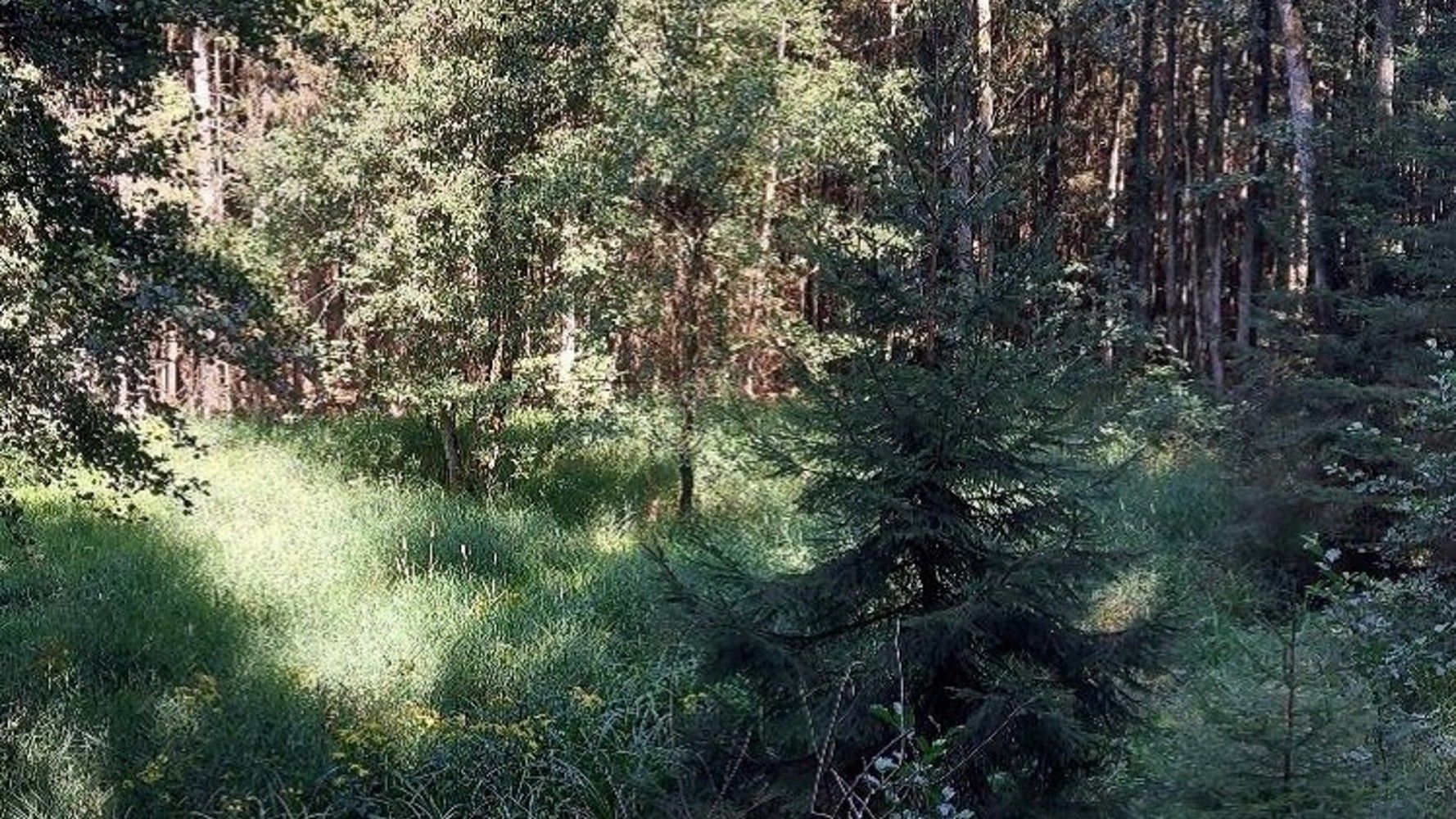 Les, 2 840 m²