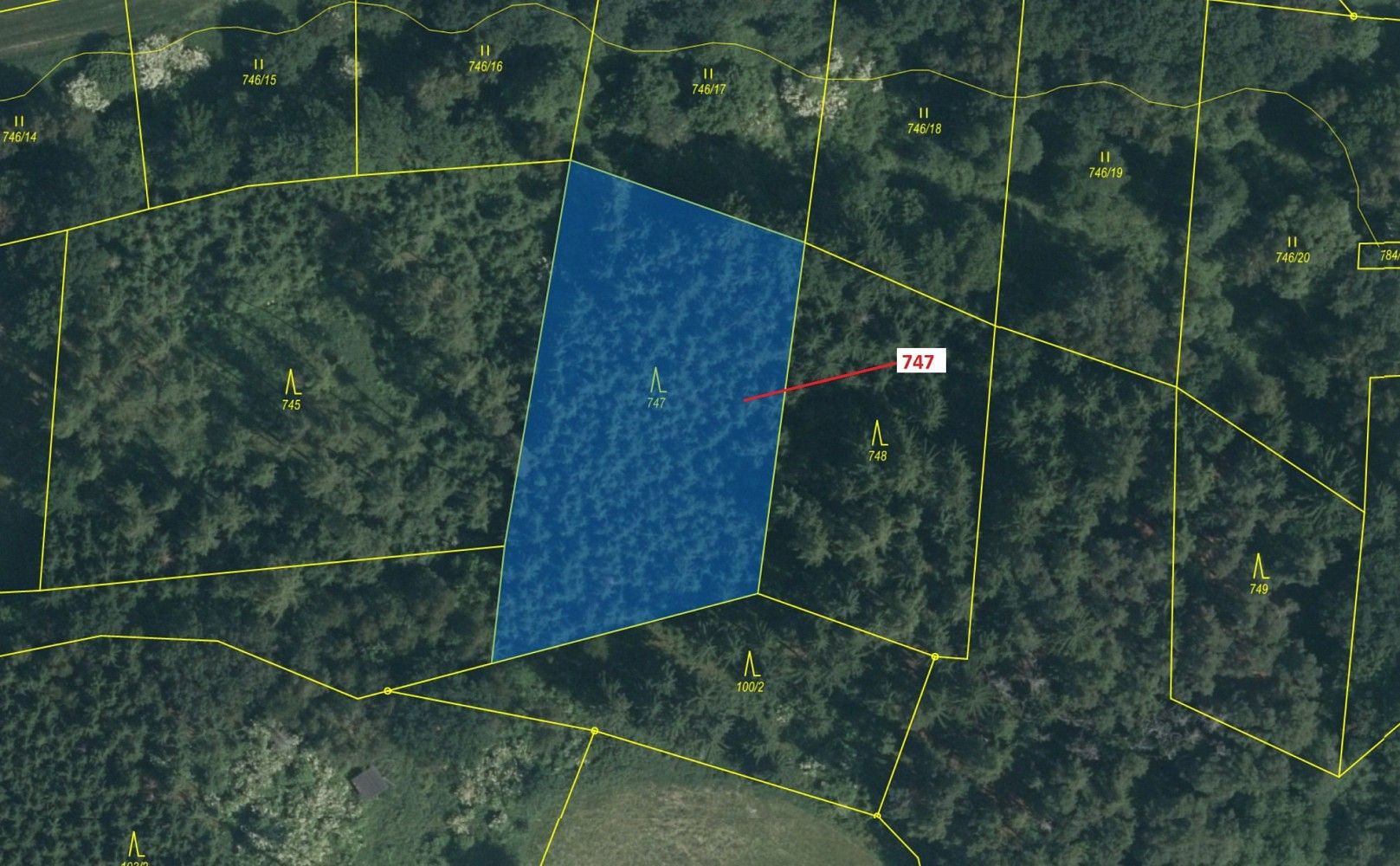 Lesy, Zvěstov, okres Benešov, Středočeský kraj - 2