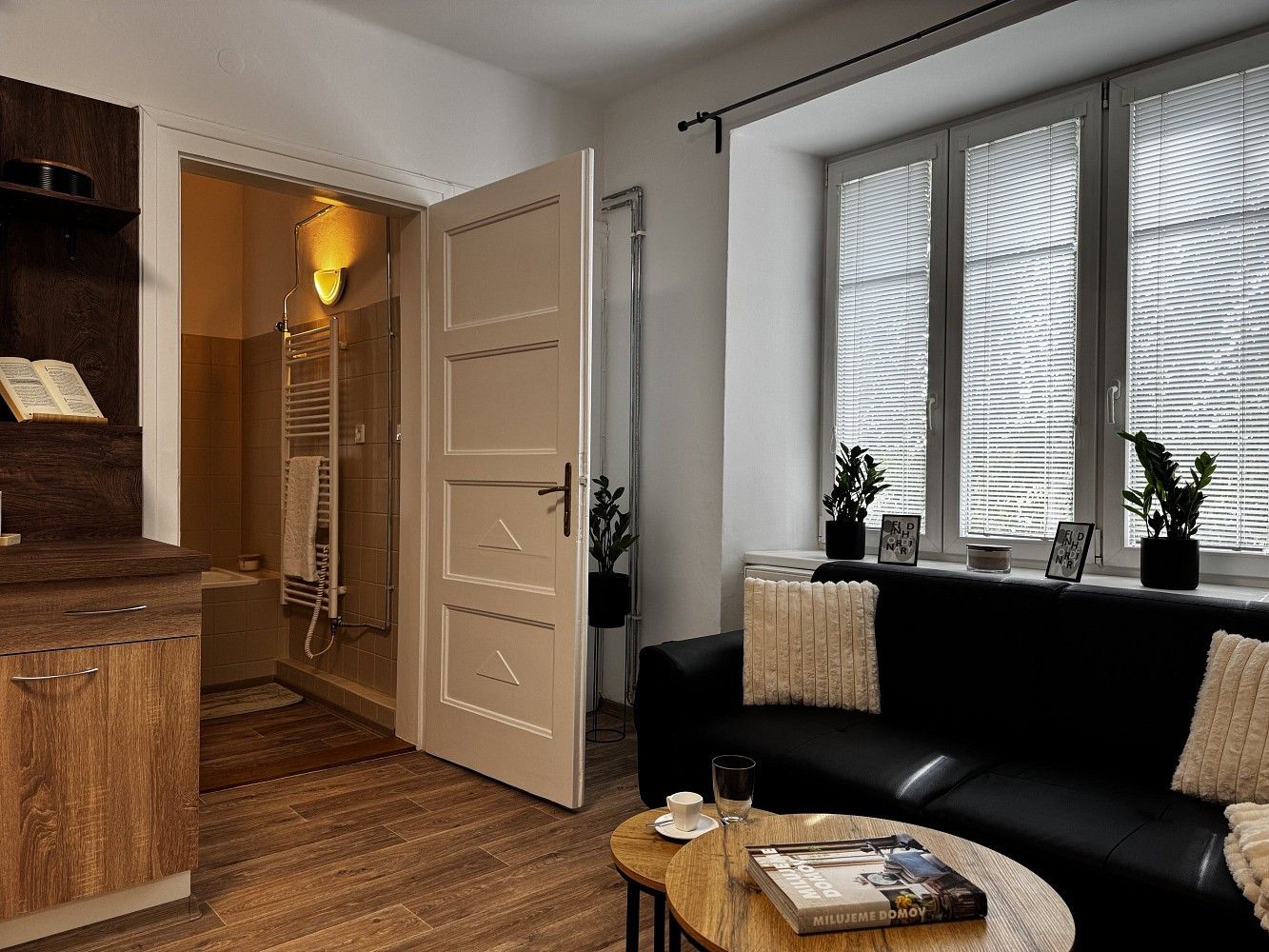 Byt 2+kk, 54 m²