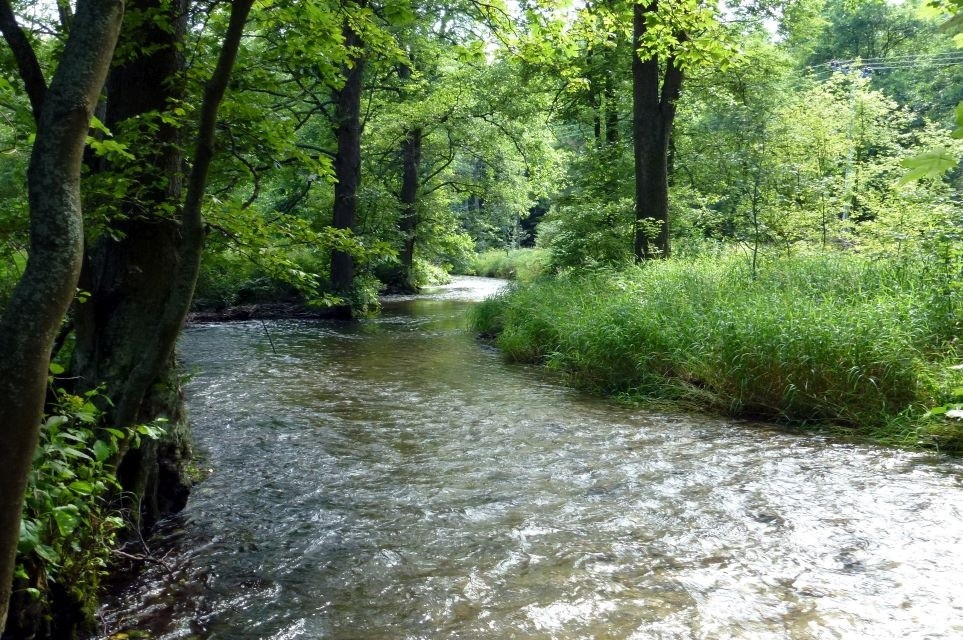 Pozemky pro bydlení, Dvorce u Bruntálu, 793 68 - 1