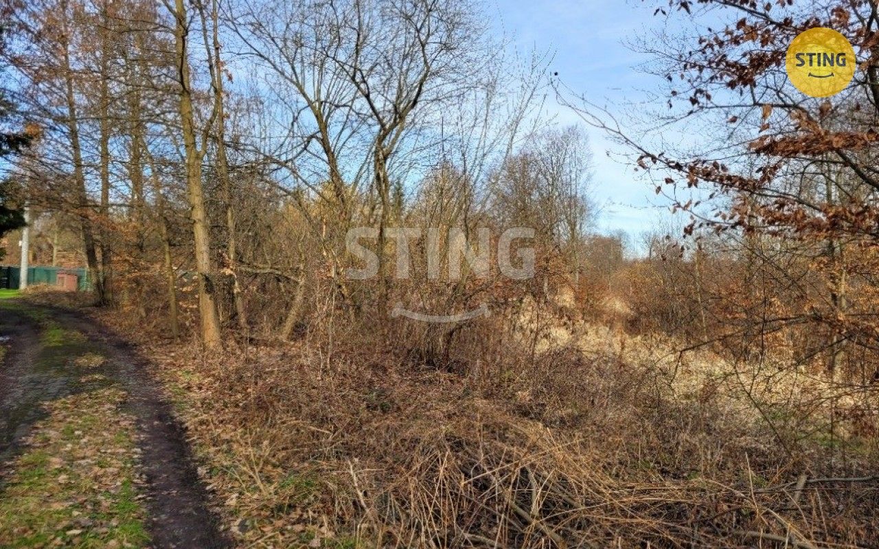 Ostatní, Bezručova, Orlová, 811 m²