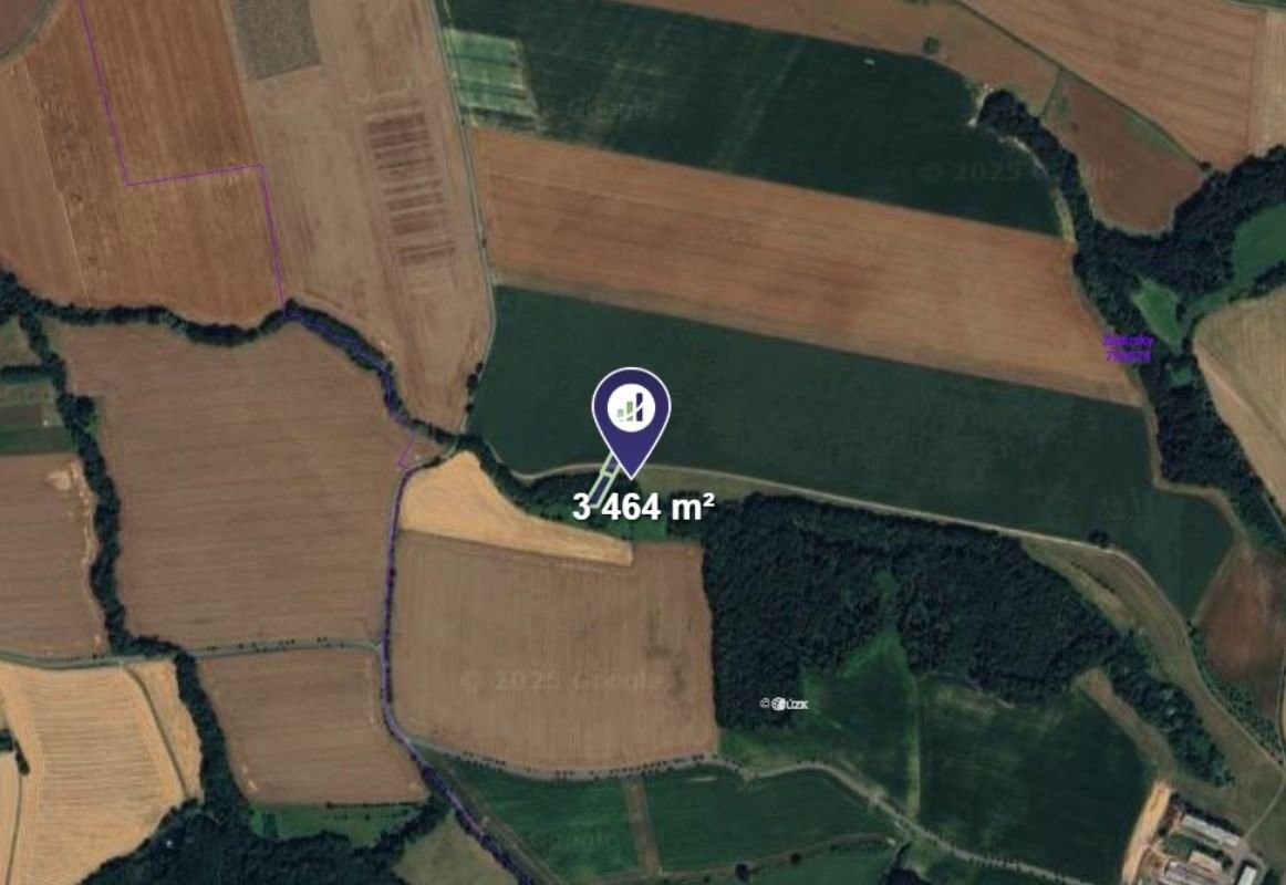 Prodej zemědělský pozemek - Zámrsky, 3 464 m²