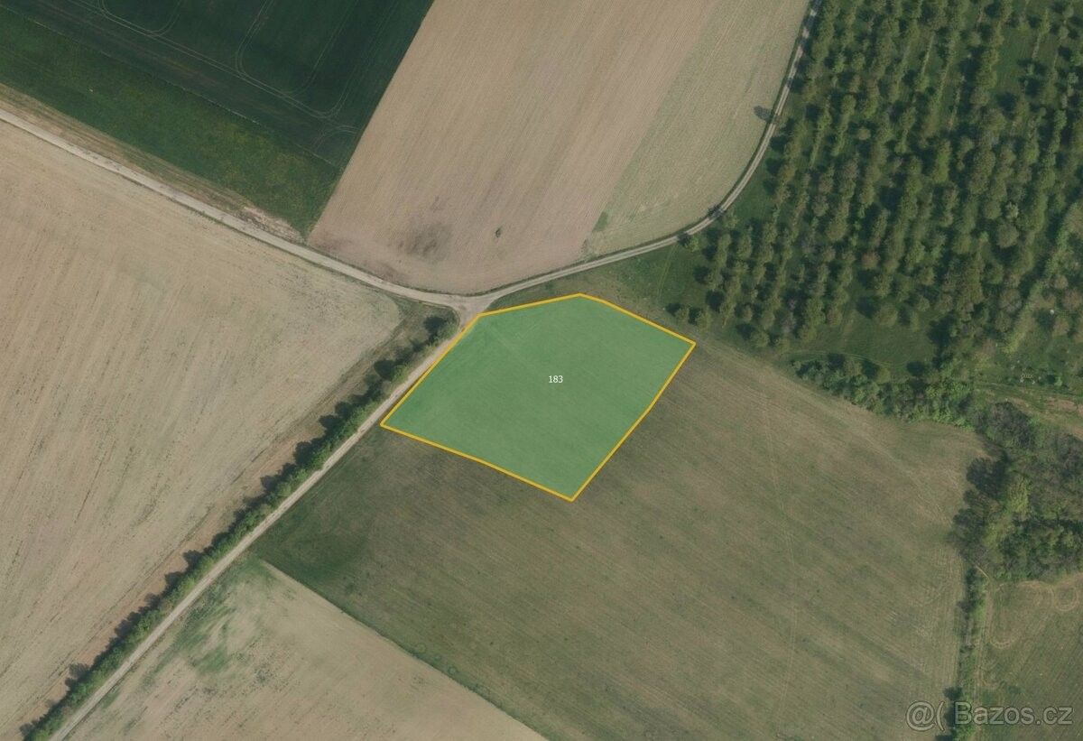 Pozemky pro bydlení, Luže, 538 54