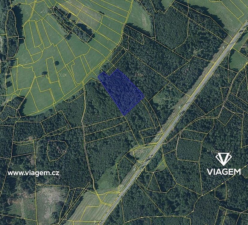 Prodej les - Vítanov, okres Chrudim, Pardubický kraj - 2