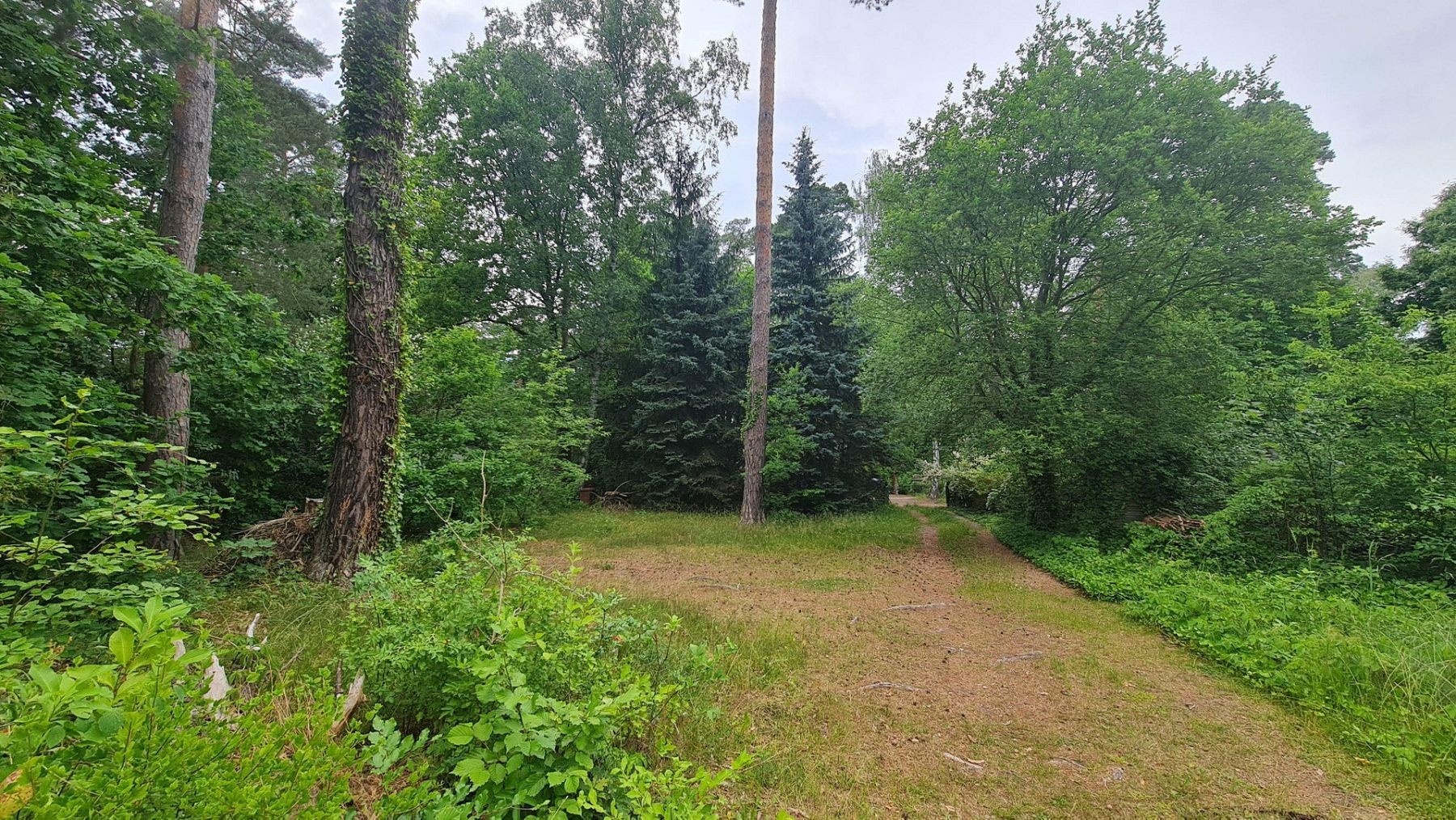 Pozemek pro bydlení · Holunderweg 14, , Braniborsko - 3
