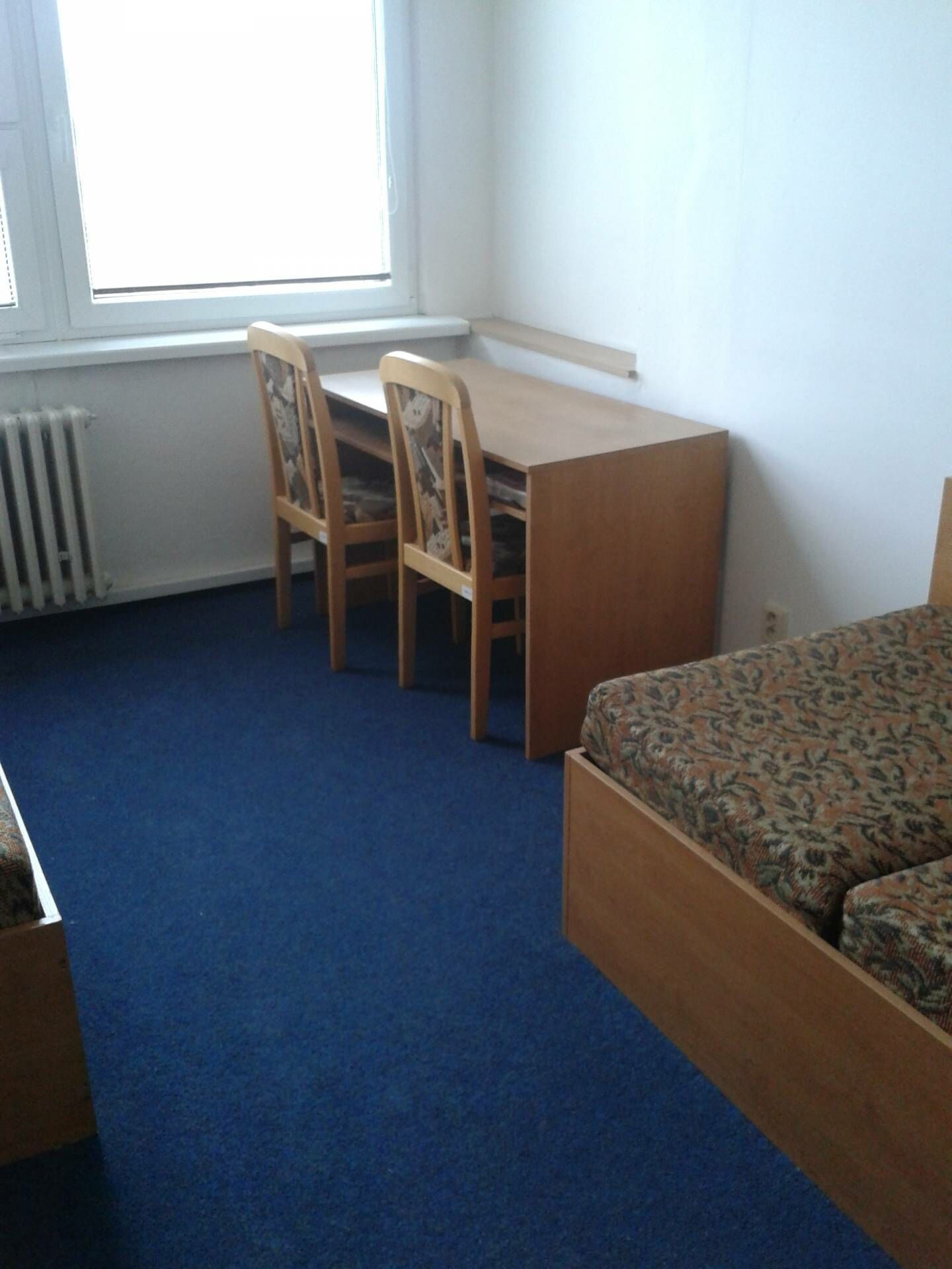 Pronájem byt 1+1 - Žižkova tř., České Budějovice, 14 m²