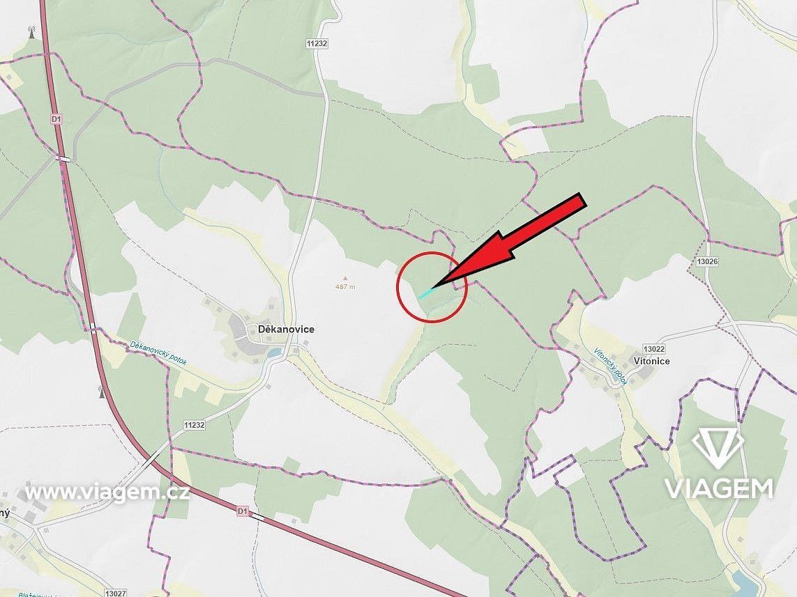 Les · Děkanovice, okres Benešov, Středočeský kraj - 4