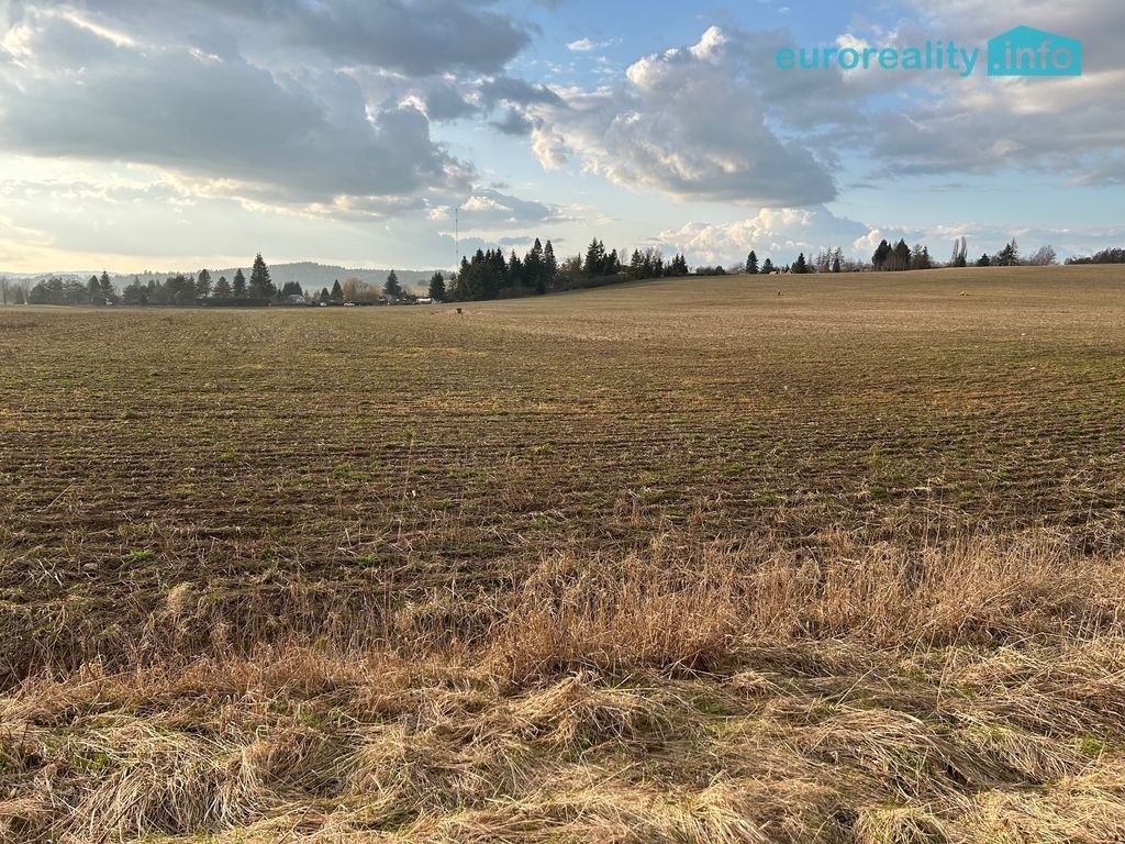 Pozemky pro bydlení, Tachov, 10 000 m² - 1