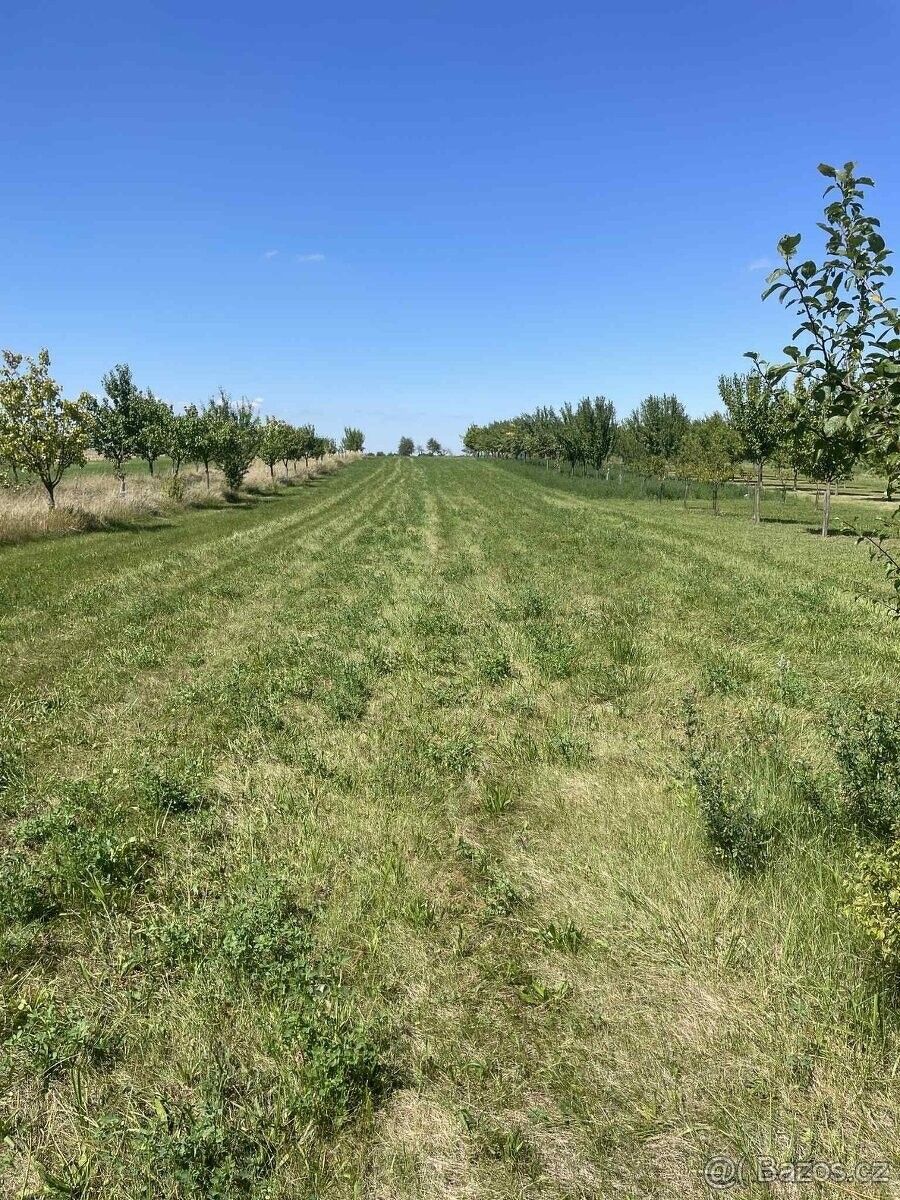 Prodej pozemek pro bydlení - Hroznová Lhota, 696 63