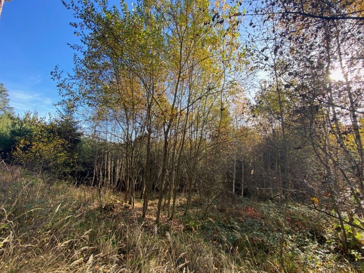 Pozemky pro bydlení, Klatovy, 339 01