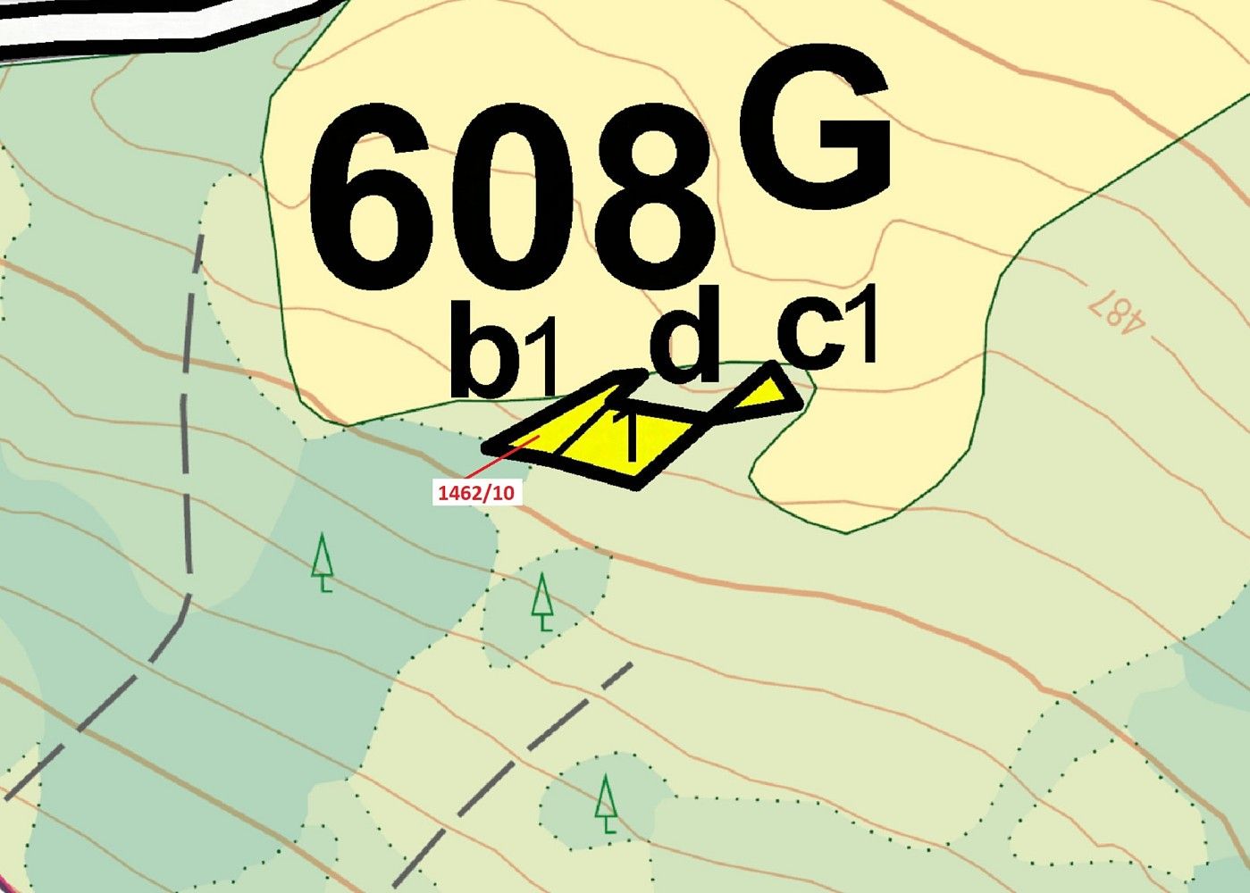 Les · Dobronín, okres Jihlava, Kraj Vysočina - 3
