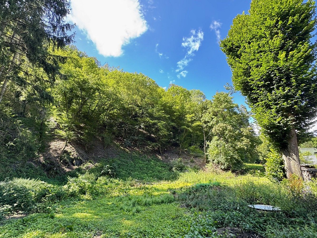 Pozemek pro bydlení · Štěchovice - Masečín, okres Praha-západ, Středočeský kraj - 2