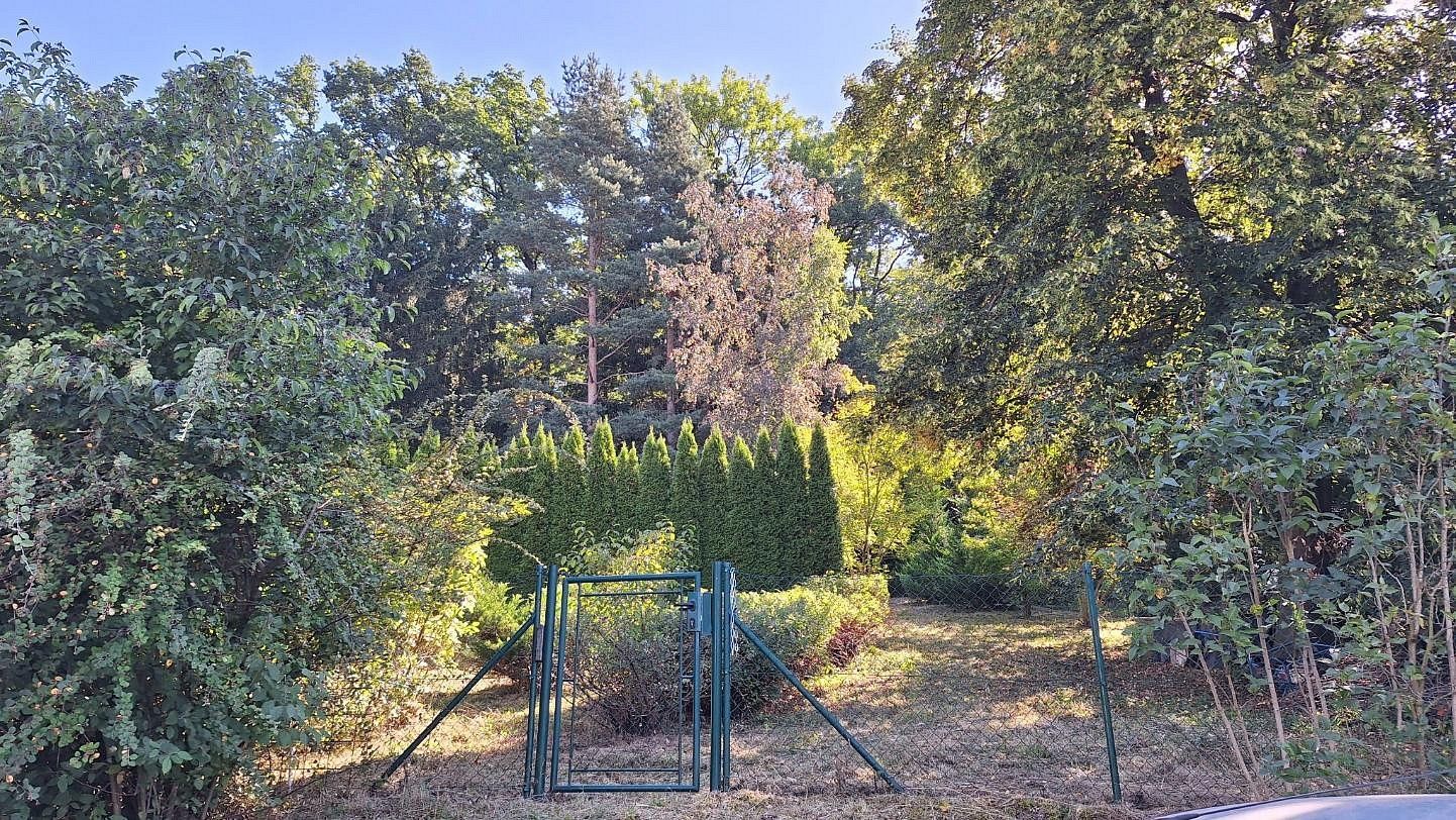Chalupy, Běstvina, okres Chrudim, Pardubický kraj, 30 m² - 2