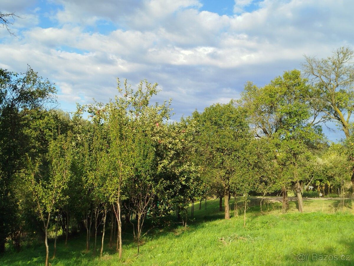 Pozemky pro bydlení, Olomouc, 779 00