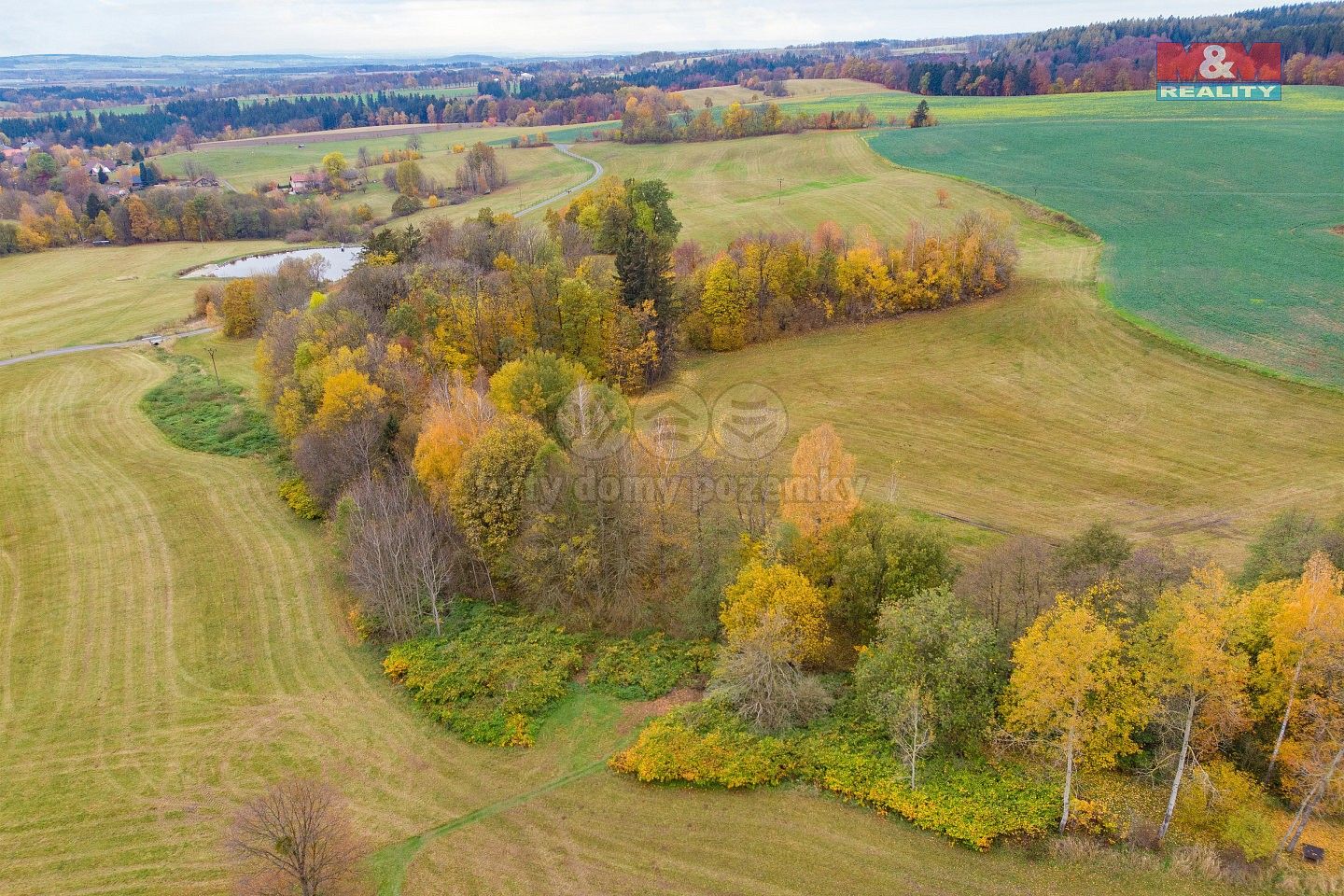 Prodej louka - Liberk - Hláska, okres Rychnov nad Kněžnou, Královéhradecký kraj - 5