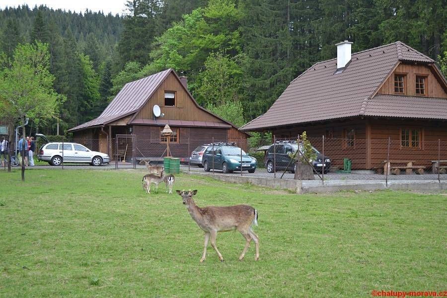 Chaty, Velké Karlovice, Zlínský kraj - 2