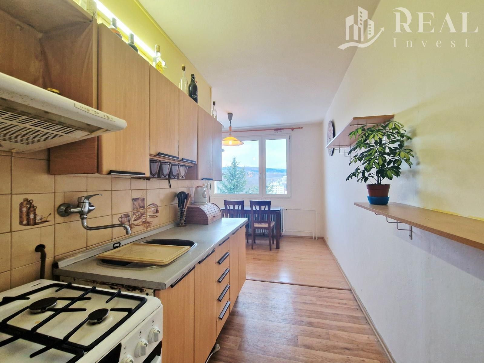 Prodej byt 2+1 - Nad parkem, Meziboří, 61 m²