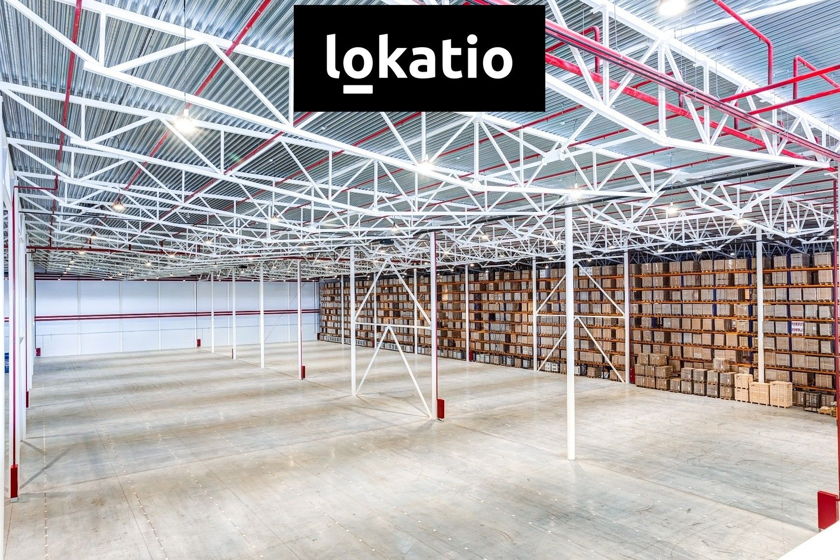 Pronájem sklad - Ostrava, 5 000 m² - 5