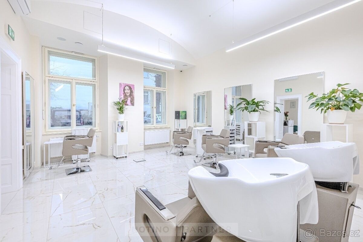 Pronájem obchodní prostory - Praha, 110 00
